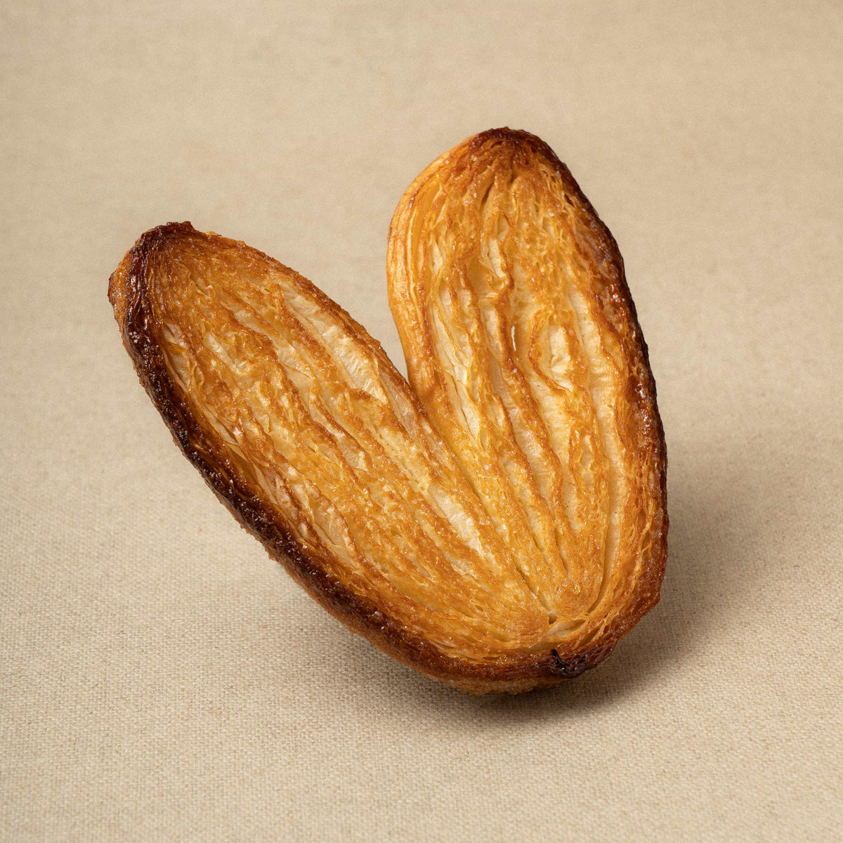 Palmera